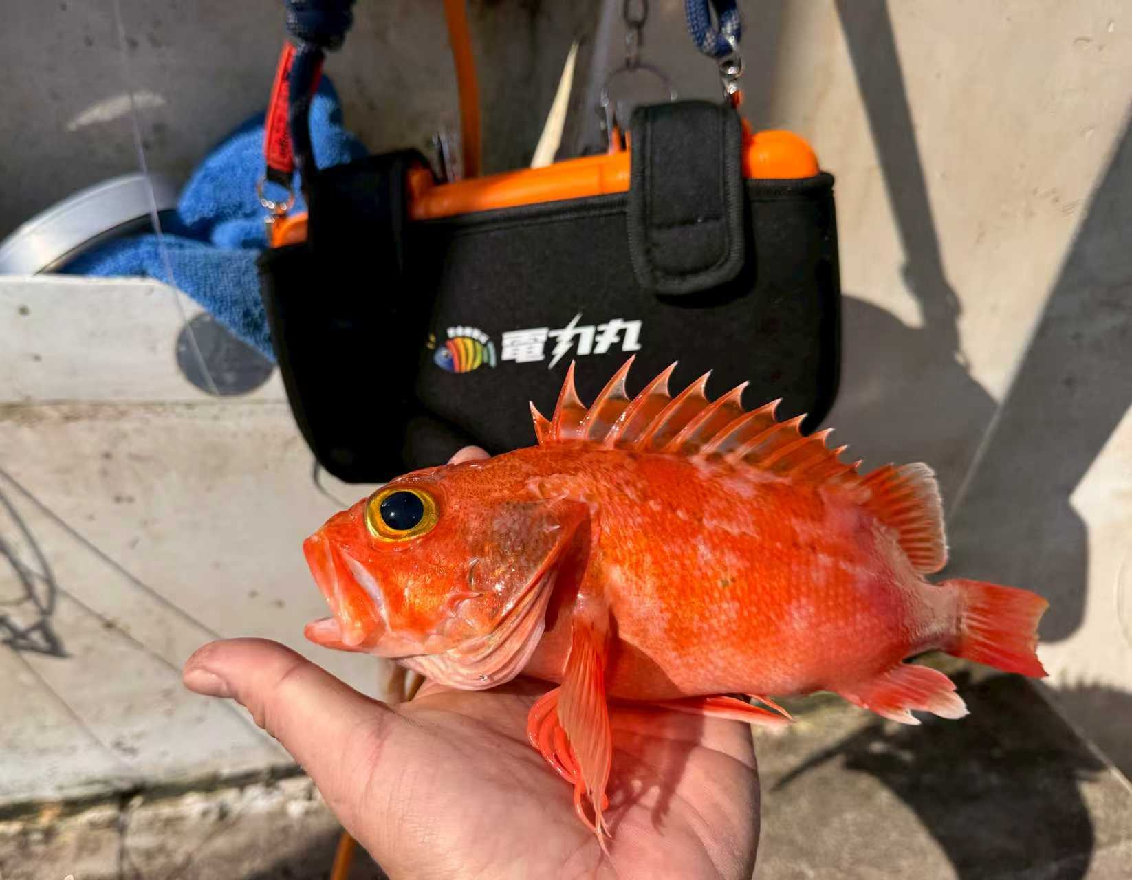Portable battery cover used onboard in a real offshore fishing setting